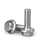 Metric Stainless Steel Hex Cap Serrated Flange Bolt With Nuts