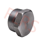 MNPT BSPT Material Threaded Hexagon Head Plug A182 F316 ASME B16.11