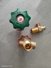 Brass LPG Self Closing Valve for Refilling LPG Gas Cylinder