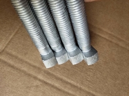 Customized T Head Bolt Material Grade 4.8 Hot Dipped Galvanized