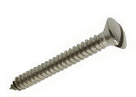 Slotted Raised Countersunk Self Tapping Screw Full thread DIN 7973 Standard