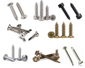 Carbon Steel / Stainless Steel Hardware Screws For Automobile Industry