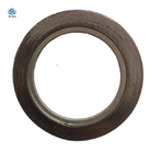 Flange IR Spiral Wound Graphite Gasket Flexible With Inner Ring
