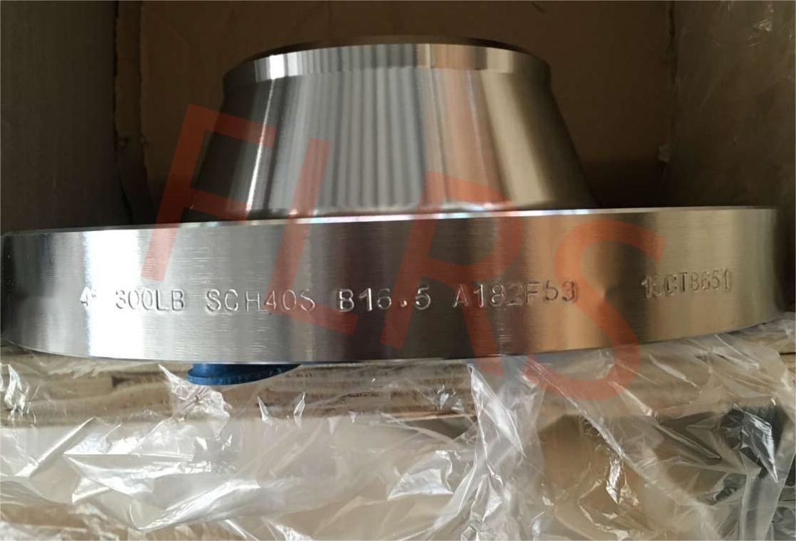 A182 F53 / UNS S32750 Welding Neck Raised Face Pipe Flange Super Duplex Stainless Steel