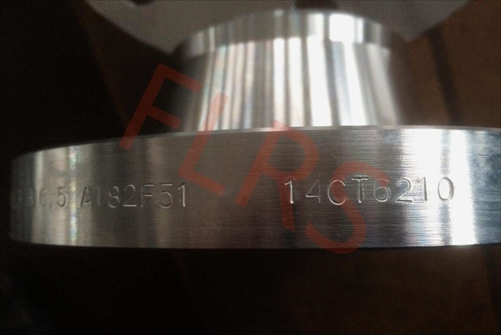 Raised Face Welding Neck Flange Super Duplex Stainless Steel A182 F51 / UNS S31803