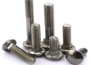 Round Head Square Neck Bolt , Carbon Steel / Stainless Steel Roundhead Bolt